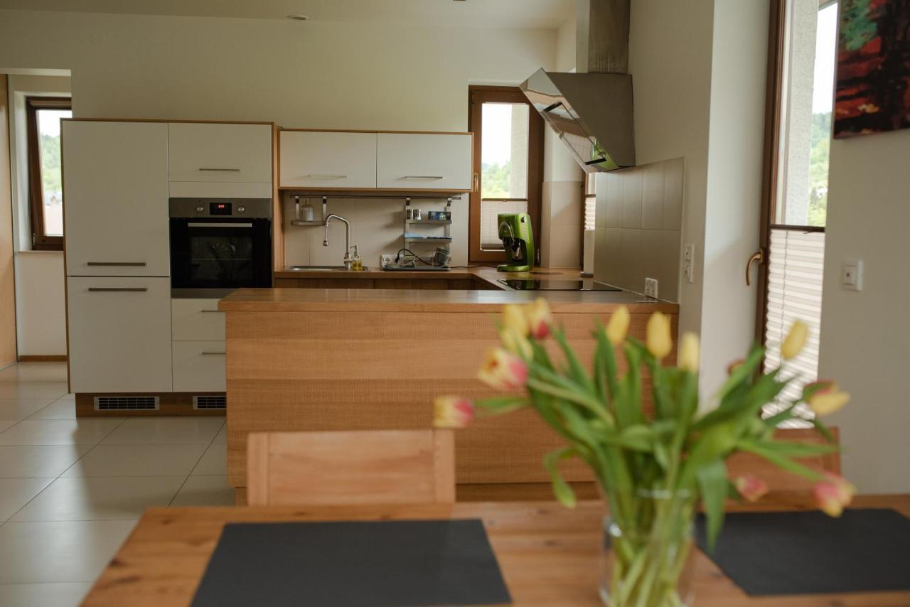 Apartament Sloneczna Rapsodia - Blisko Parku Zdrojowego - Piekny Widok - Ogrod - Taras Rabka-Zdrój Exterior foto